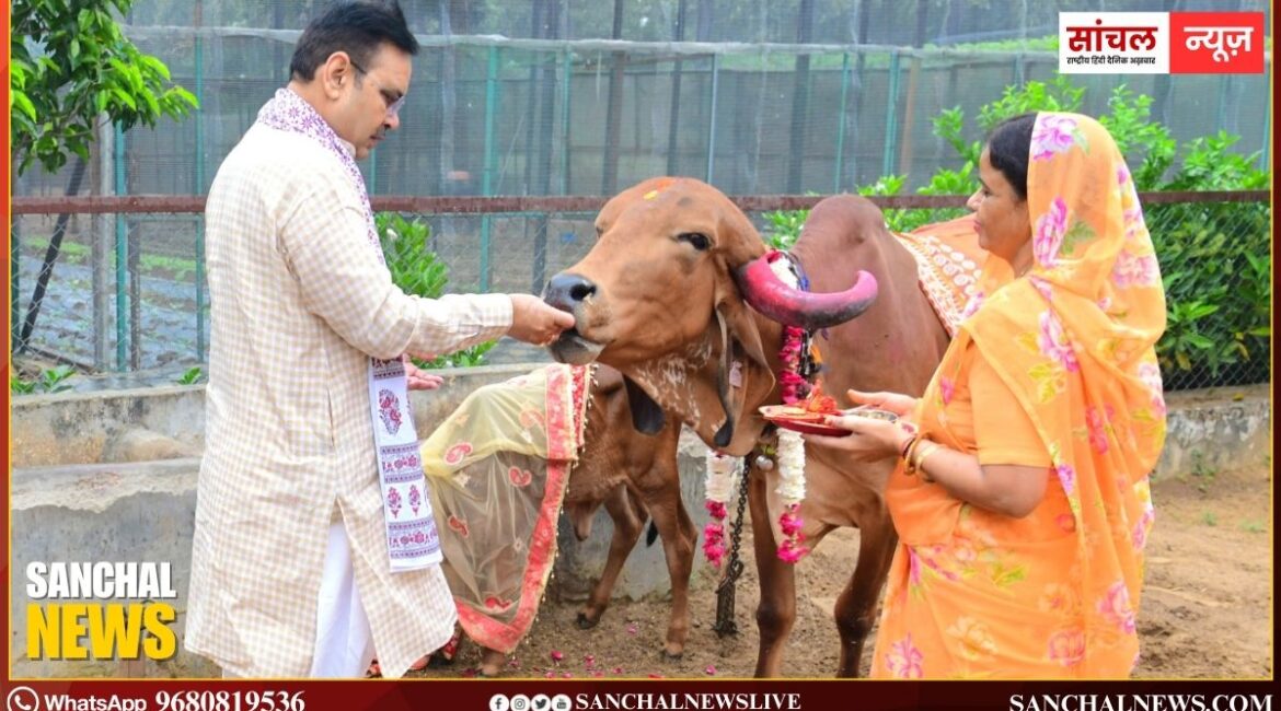 मुख्यमंत्री भजनलाल शर्मा ने गोपाष्टमी के अवसर पर मुख्यमंत्री निवास पर पत्नी के साथ गौ माता की पूजा-अर्चना की