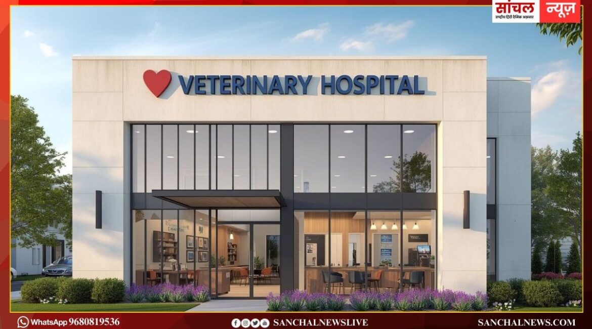 Sanchal Rajasthan; 38 जिलों में बनेंगे 310 नए पशु चिकित्सालय भवन, 144 करोड़ राशि स्वीकृत