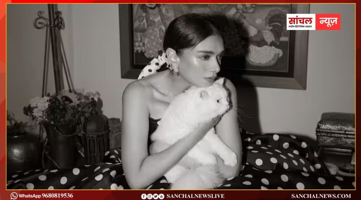 सोशल मीडिया पर दिखा अदिति राव हैदरी का विंटेज ग्लैमर, तस्वीरों में देखें खूबसूरती सोशल मीडिया पर दिखा अदिति राव हैदरी का विंटेज ग्लैमर, तस्वीरों में देखें खूबसूरती