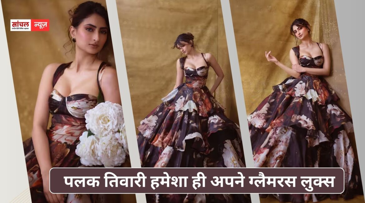 पलक तिवारी हमेशा ही अपने ग्लैमरस लुक्स; लेटेस्ट पोस्ट सोशल मीडिया पर वायरल, तस्वीरों पर अटका फैंस का दिल पलक तिवारी हमेशा ही अपने ग्लैमरस लुक्स; लेटेस्ट पोस्ट सोशल मीडिया पर वायरल, तस्वीरों पर अटका फैंस का दिल