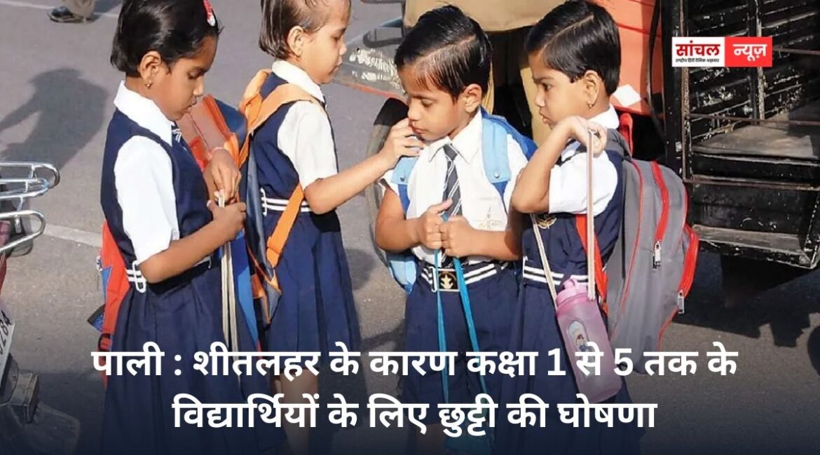 Pali News : शीतलहर को देखते हुए जिले में कक्षा प्री-प्राइमरी से 05 तक के लिए 12 जनवरी तक अवकाश घोषित