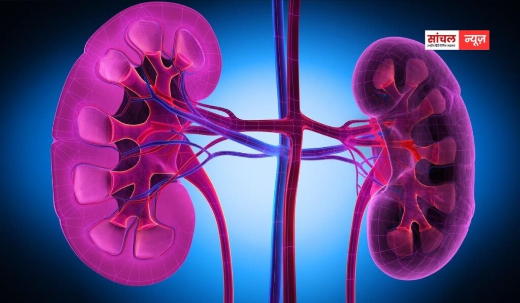 हाथ-पैरों पर सबसे पहले दिखते हैं किडनी डैमेज के ये लक्षण, चलिए आपको इसके कुछ लक्षण बताते हैं