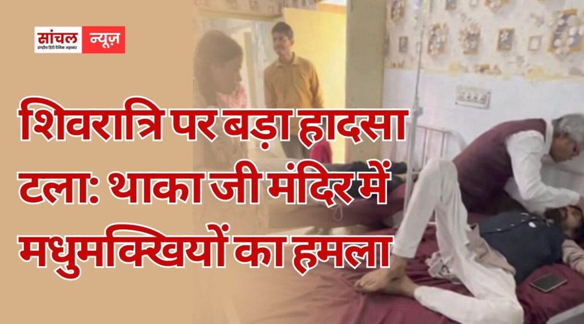 शिवरात्रि पर बड़ा हादसा टला: थाका जी मंदिर में मधुमक्खियों का हमला, प्रसादी के दौरान मची भगदड़