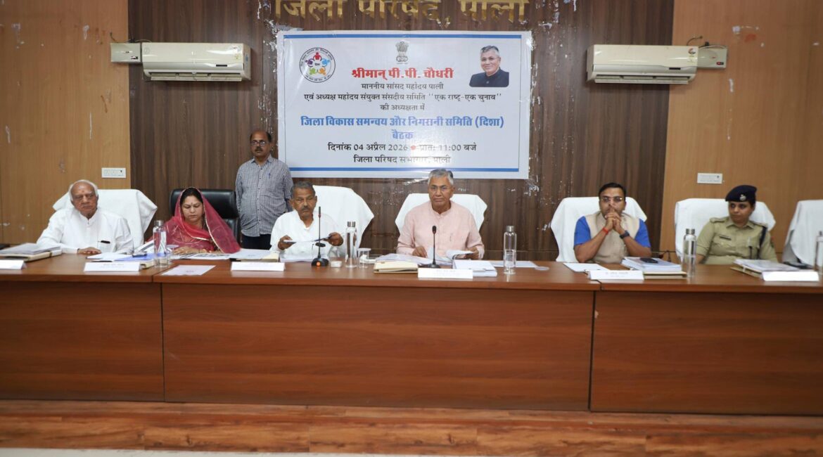 पाली जिला विकास समन्वय और निगरानी समिति दिशा की बैठक पाली जिला विकास समन्वय और निगरानी समिति दिशा की बैठक
