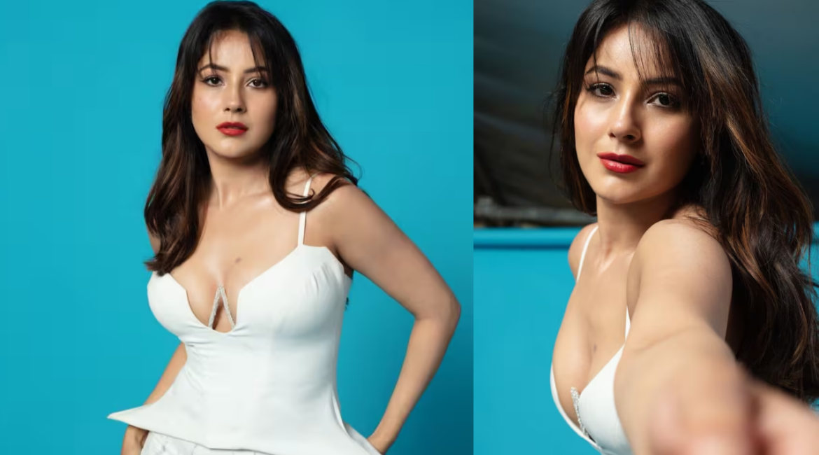 शहनाज गिल का कातिलाना अंदाज, व्हाइट मरमेड स्कर्ट में सोशल मीडिया पर लगाई आग