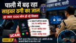 पाली में बढ़ रहा साइबर ठगी का जाल, हर साल 1500 लोग हो रहे शिकार पाली में बढ़ रहा साइबर ठगी का जाल, हर साल 1500 लोग हो रहे शिकार