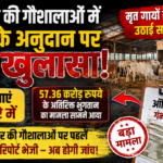 राजस्थान की गौशालाओं में करोड़ों के अनुदान पर सवाल! मृत गोवंश के नाम पर भी उठाई गई सरकारी राशि, ऑडिट रिपोर्ट में बड़ा खुलासा, सुमेरपुर क्षेत्र की कुछ गौशालाओं जांच होने की उम्मीद