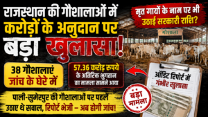 राजस्थान की गौशालाओं में करोड़ों के अनुदान पर सवाल! मृत गोवंश के नाम पर भी उठाई गई सरकारी राशि, ऑडिट रिपोर्ट में बड़ा खुलासा, सुमेरपुर क्षेत्र की कुछ गौशालाओं जांच होने की उम्मीद