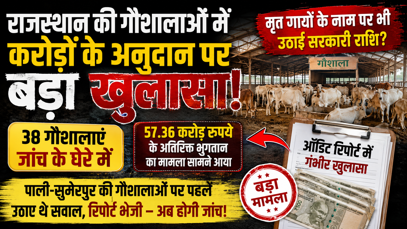 राजस्थान की गौशालाओं में करोड़ों के अनुदान पर सवाल! मृत गोवंश के नाम पर भी उठाई गई सरकारी राशि, ऑडिट रिपोर्ट में बड़ा खुलासा, सुमेरपुर क्षेत्र की कुछ गौशालाओं जांच होने की उम्मीद